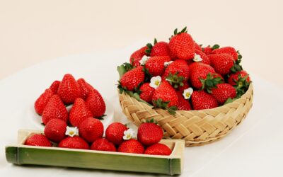 담양 딸기, 몽골로 새해 첫 수출길 … 중앙아시아 진출 교두보 마련