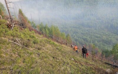 셀렝게 아이막 산불 7건 진화작업 중, 전국 산불 14건 발생