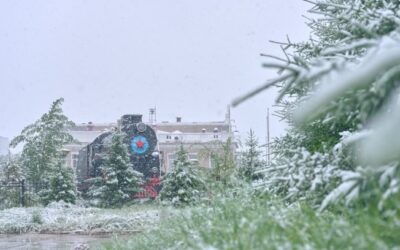 울란바토르-이르쿠츠크 국제여객열차, 12월 19일부터 운행 재개