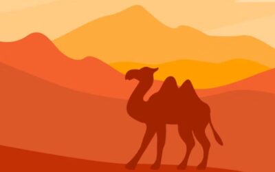 ‘낙타 위에서 해는 더 가깝다’ 축제, 둔드고비에서 개최