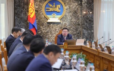 몽골, 캐시미어 수출 1년 만에 4.7배 급증…정부 산업 육성 결의 채택