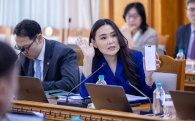 몽골, ‘e-Business 2.0’ 출시로 2시간 내 온라인 사업자 등록 가능해진다