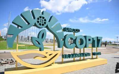 COP17 기간 특별 여객 수송 대책 시행…무료 셔틀버스 운행
